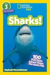 Sharks!