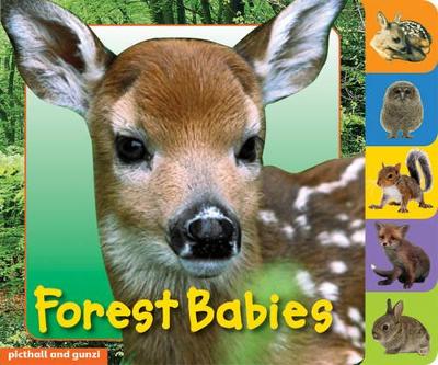 Animal Tabs: Forest Babies