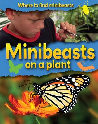 Where to Find Minibeasts: Minibeasts on a Plant