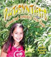 Photosynthesis: Changing Sunlight into Food