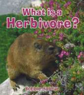 What is a Herbivore?