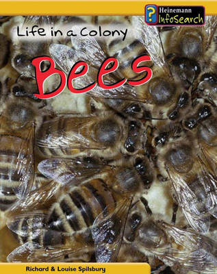 Life in a Colony of Bees