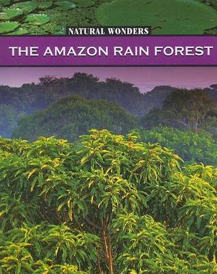 The Amazon Rain Forest