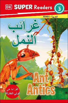 DK Super Readers Level 3 Ant Antics (Arabic translation)