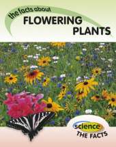 Flowering Plants