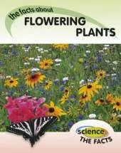 Flowering Plants