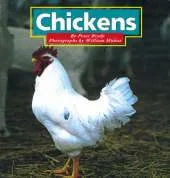 Chickens