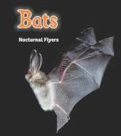 Bats: Nocturnal Flyers