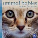 Animal Babies About the House