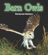Barn Owls: Nocturnal Hunters