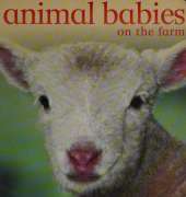 Animal Babies on the Farm