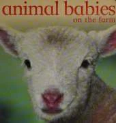 Animal Babies on the Farm