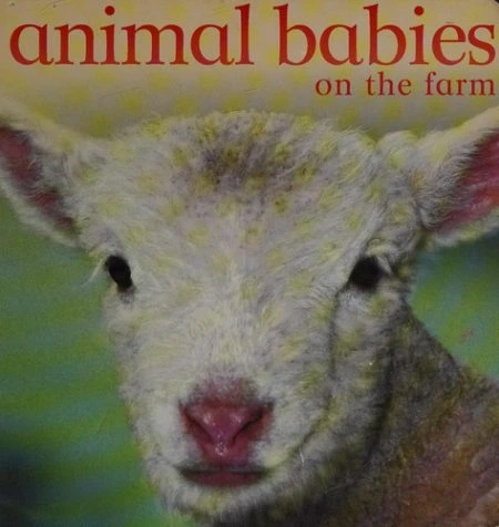 Animal Babies on the Farm
