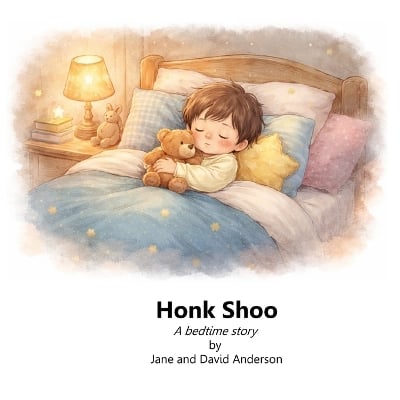 Honk Shoo: A bedtime story