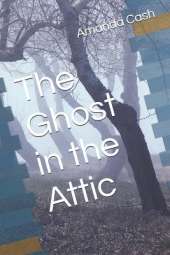 The Ghost in the Attic