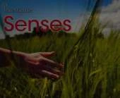 Senses