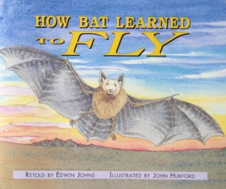 How Bat Learned to Fly