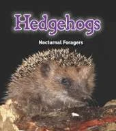 Hedgehogs: Nocturnal Foragers
