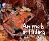Animals in Hiding: Band 04/Blue