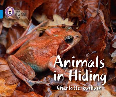 Animals in Hiding: Band 04/Blue