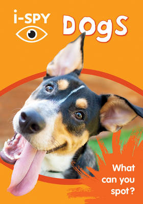i-SPY Dogs: What Can You Spot?