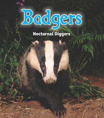 Badgers: Nocturnal Diggers