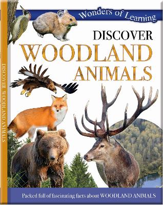 Discover Woodland Animals