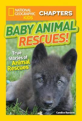 Baby Animal Rescues!