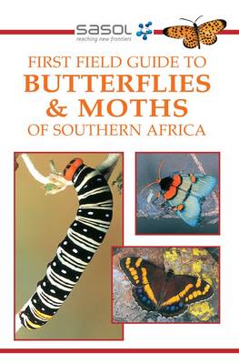 Butterflies and Moths of Southern Africa