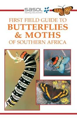 Butterflies and Moths of Southern Africa