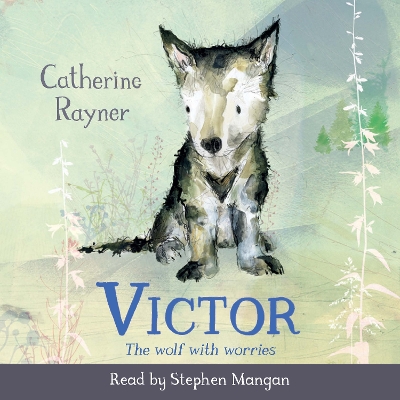 Victor, the Wolf with Worries