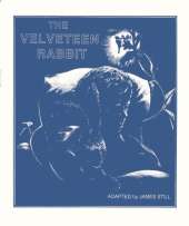 The Velveteen Rabbit