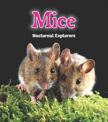 Mice: Nocturnal Explorers