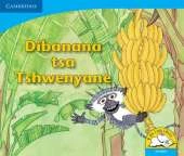 Baby Monkey's Bananas Sesotho Version