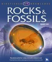 Rocks and Fossils