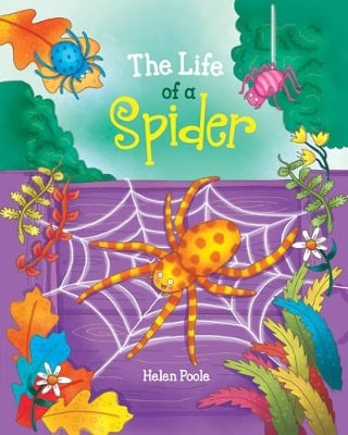 The Life of a Spider
