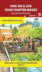 Four Chapter Books 9: Decodable Series for Students Learning to Read. For Developing Readers and Students with Dyslexia. (Step 9-Vowel Digraphs-ai, ay, ea, ee, ie, oa, oe. Advancing Two-Syllable Words)