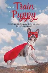 How to train a puppy: Handling and training your dog to make him the perfect companion.