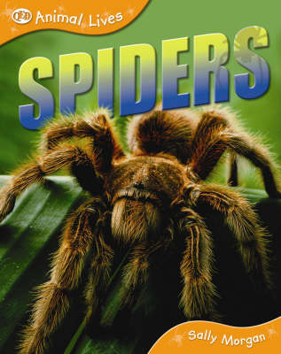 Spiders