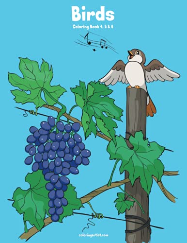 Birds Coloring Book 4, 5 & 6