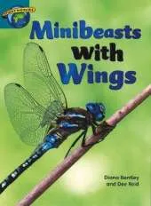 Fact World Stage 6: Minibeasts with Wings