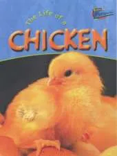 Raintree Perspectives: Life Cycles - the Life of a Chicken