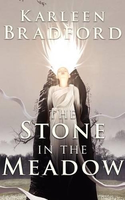 The Stone in The Meadow