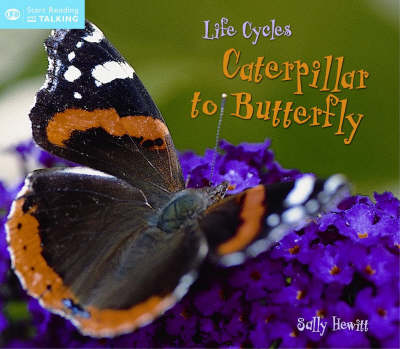 Life Cycles: From Caterpillar to Butterfly
