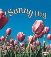 A Sunny Day