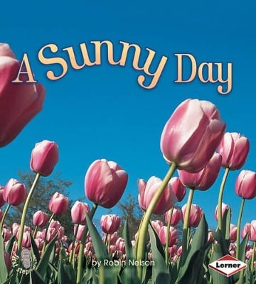 A Sunny Day