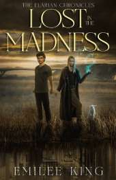 Lost in the Madness