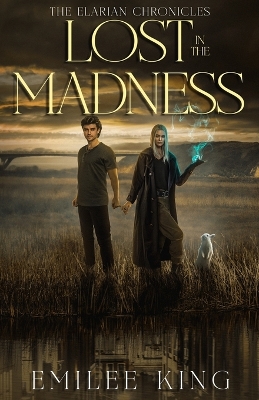 Lost in the Madness