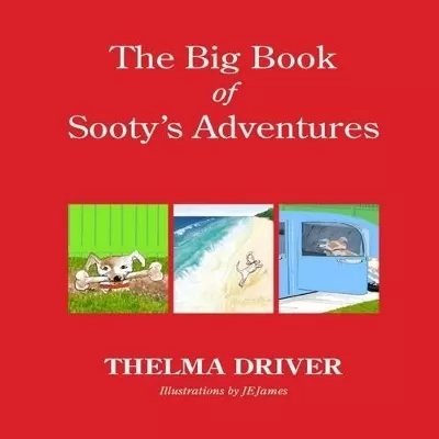 Big Book Of Sooty's Adventure