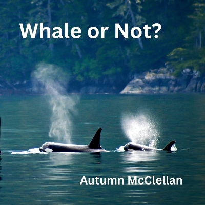 Whale or Not?: Ocean Creatures Volume 2